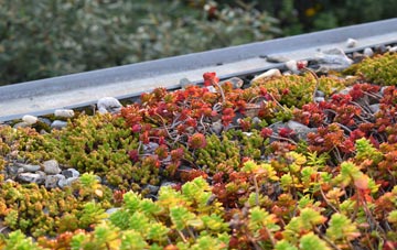the cost of Whitegate green roof installation
