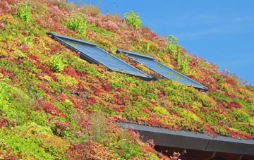 Whitegate living roof systems