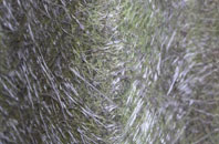 Whitegate fibreglass roof work